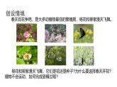 1.3 《植物的生殖與發(fā)育》（第1課時(shí)）課件浙教版科學(xué)七年級(jí)下冊(cè)