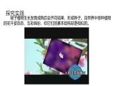 1.3 《植物的生殖與發(fā)育》（第1課時(shí)）課件浙教版科學(xué)七年級(jí)下冊(cè)