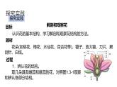 1.3 《植物的生殖與發(fā)育》（第1課時(shí)）課件浙教版科學(xué)七年級(jí)下冊(cè)