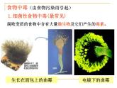 《健康生活》課件 浙教版科學(xué)九年級(jí)下冊(cè)