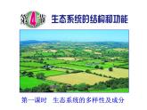 2.4《生態(tài)系統(tǒng)的結(jié)構(gòu)和功能》課件 浙教版科學(xué)九年級(jí)下冊(cè)