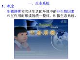 2.4《生態(tài)系統(tǒng)的結(jié)構(gòu)和功能》課件 浙教版科學(xué)九年級(jí)下冊(cè)