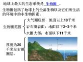 2.4《生態(tài)系統(tǒng)的結(jié)構(gòu)和功能》課件 浙教版科學(xué)九年級(jí)下冊(cè)
