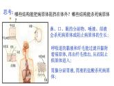 3.3《身體的防衛(wèi)》第1課時(shí)  課件浙教版科學(xué)九年級(jí)下冊(cè)