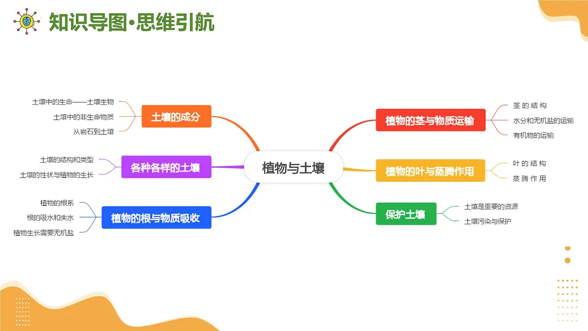 专题04 植物与土壤 2025学年八年级科学下学期期末考点大串讲（浙教版）课件第3页