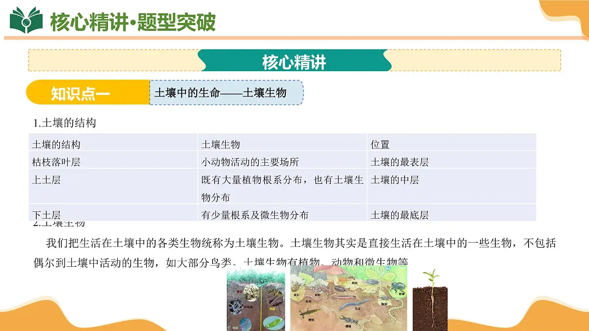专题04 植物与土壤 2025学年八年级科学下学期期末考点大串讲（浙教版）课件第5页