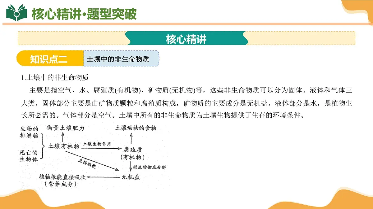 专题04 植物与土壤 2025学年八年级科学下学期期末考点大串讲（浙教版）课件第6页