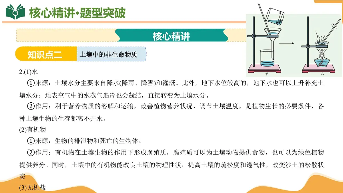专题04 植物与土壤 2025学年八年级科学下学期期末考点大串讲（浙教版）课件第7页