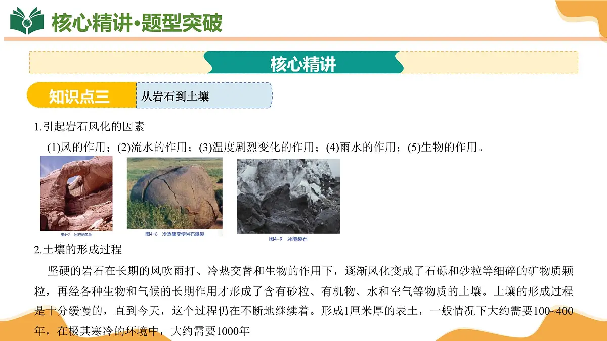 专题04 植物与土壤 2025学年八年级科学下学期期末考点大串讲（浙教版）课件第8页