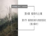 4.3 植物的根与物质吸收（第2课时）（教学课件）-2024-2025学年八年级科学下册（浙教版）