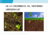 2025年春八年级下册科学（浙教版）上课课件 4.1 土壤的成分