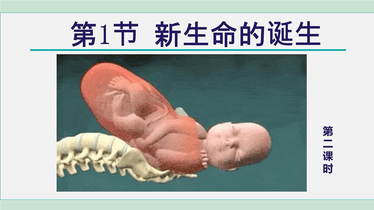 2025年春七年级下册科学（浙教版）上课课件 第1章 1. 新生命的诞生 第2课时第1页