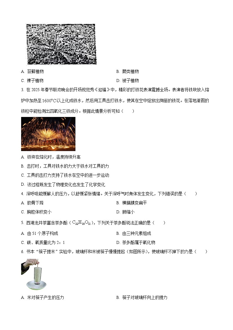 2025年浙江省杭州市萧山区中考一模科学试卷（中考模拟）第2页