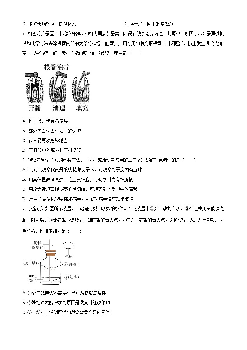 2025年浙江省杭州市萧山区中考一模科学试卷（中考模拟）第3页