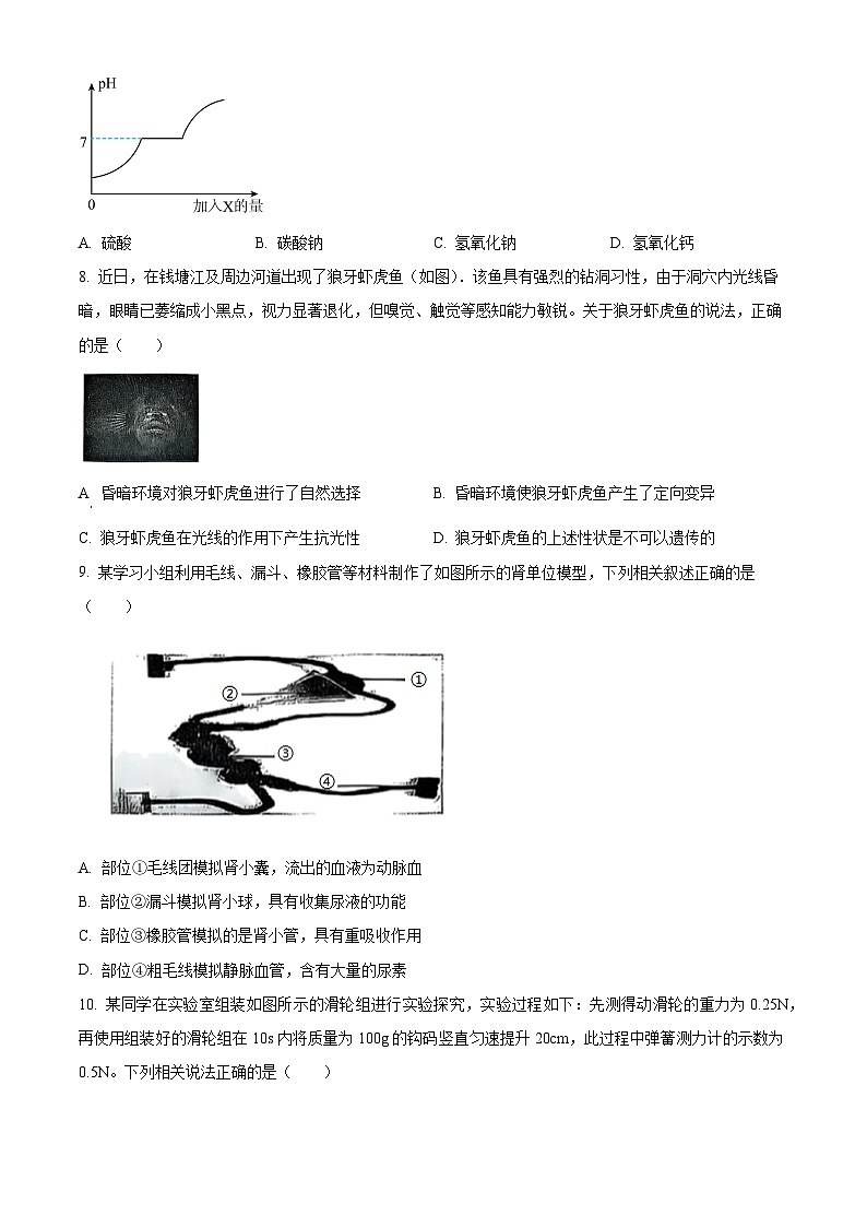 2025年浙江省杭州市钱塘区中考一模科学试卷（中考模拟）第3页