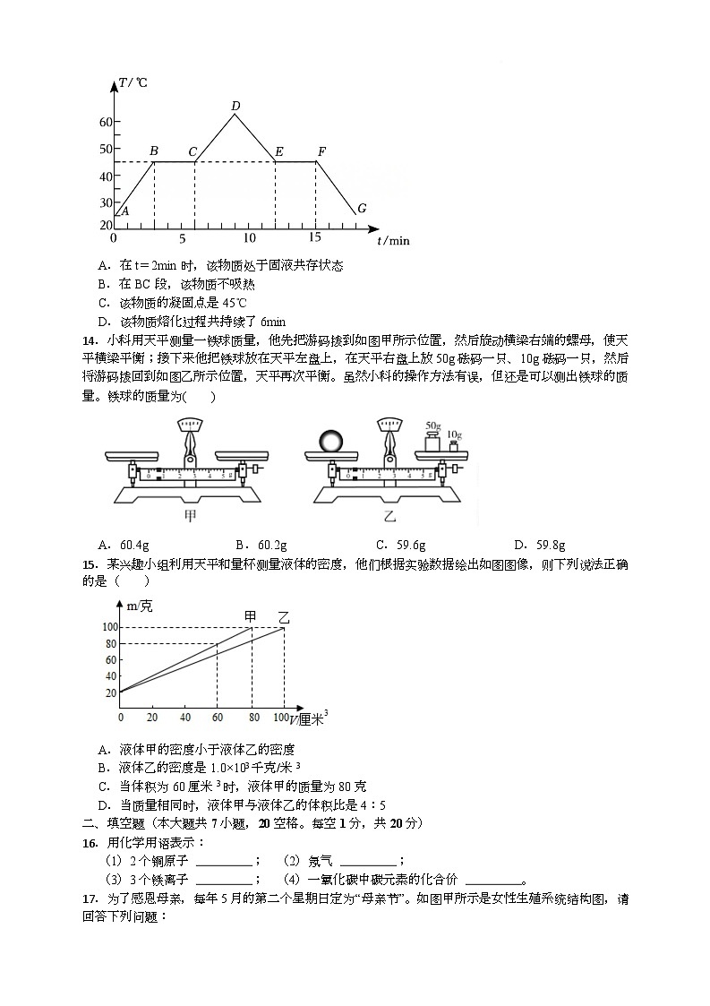七年级下5月校本作业科学卷试题卷第3页