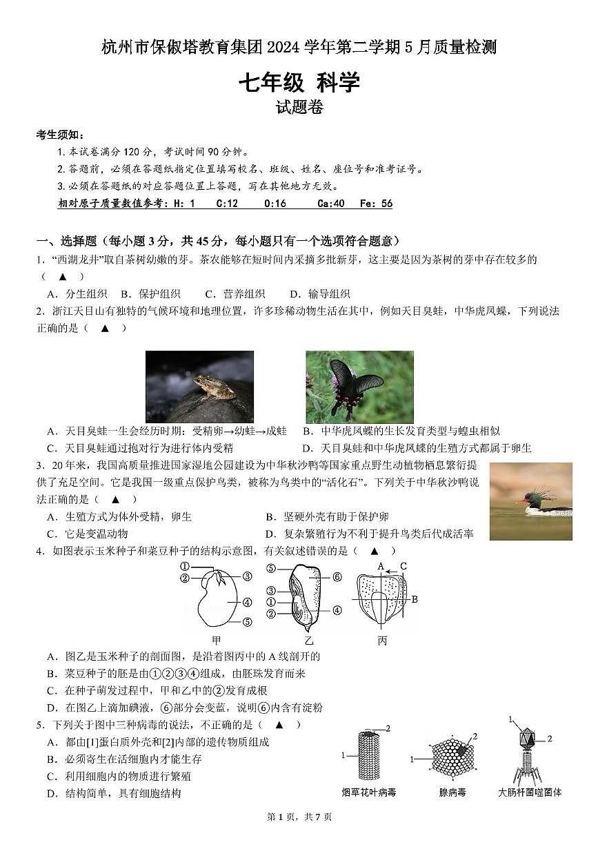 杭州市保俶塔教育集团，七年级科学试题卷，2025.05第1页