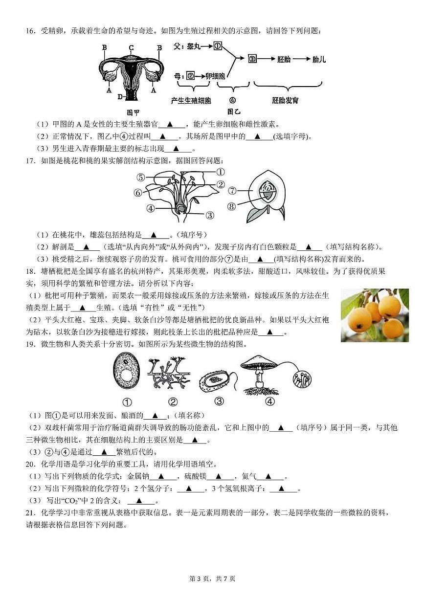 杭州市保俶塔教育集团，七年级科学试题卷，2025.05第3页