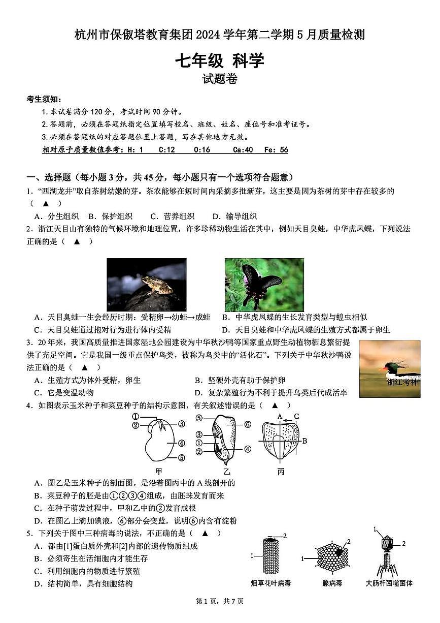 浙江省杭州市保俶塔教育集团2024-2025学年七年级下学期5月月考考试科学试题第1页