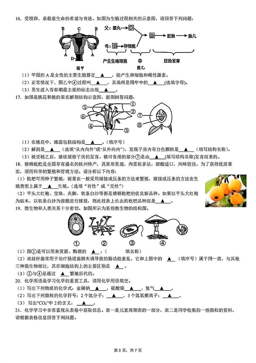 浙江省杭州市保俶塔教育集团2024-2025学年七年级下学期5月月考考试科学试题第3页