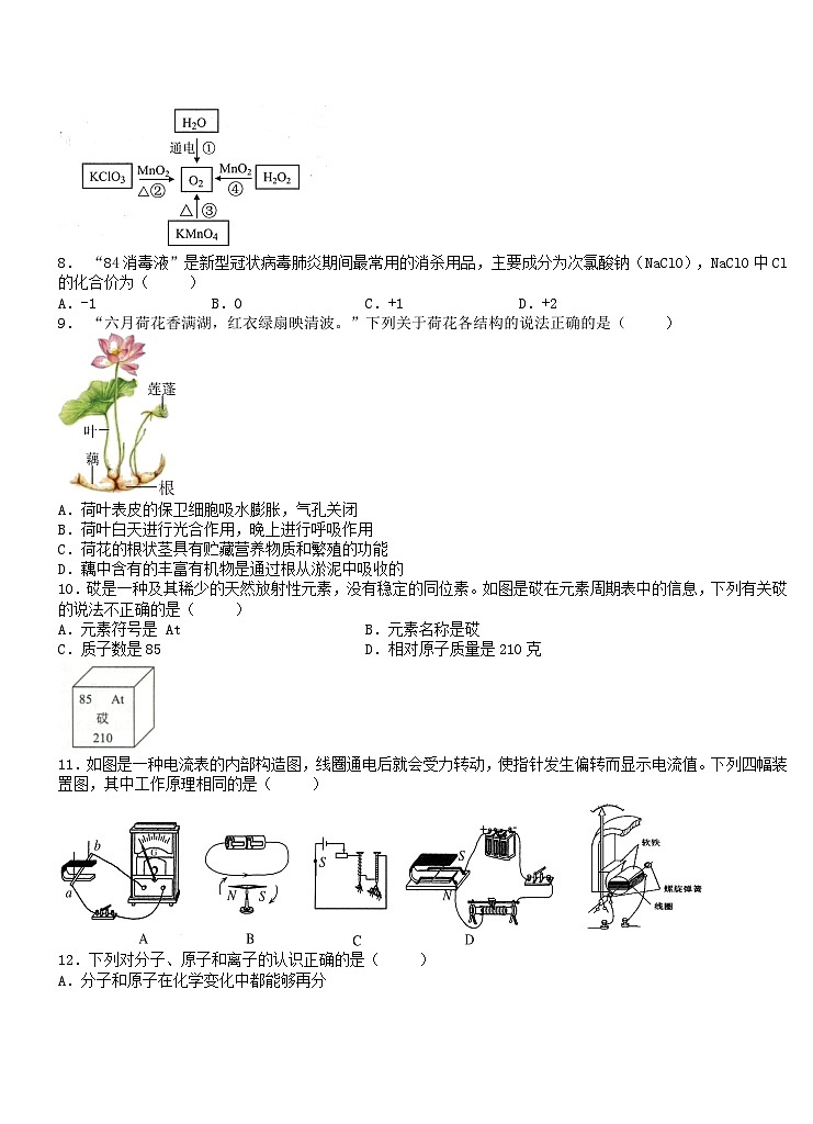2024-2025学年浙教版八年级下册科学期末模拟科学试题卷2第2页