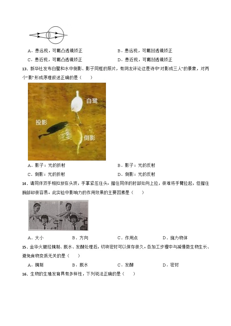 浙江省金华市义乌市2023-2024学年七年级下学期6月期末科学试题第3页
