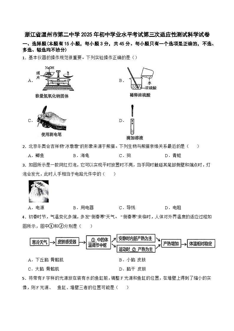 2025年浙江省温州二中中考三模科学试卷 （中考模拟）第1页