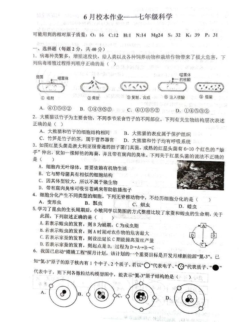 浙江省金华市义乌市义乌市宾王中学2024-2025学年七年级下学期6月期末科学试题第1页