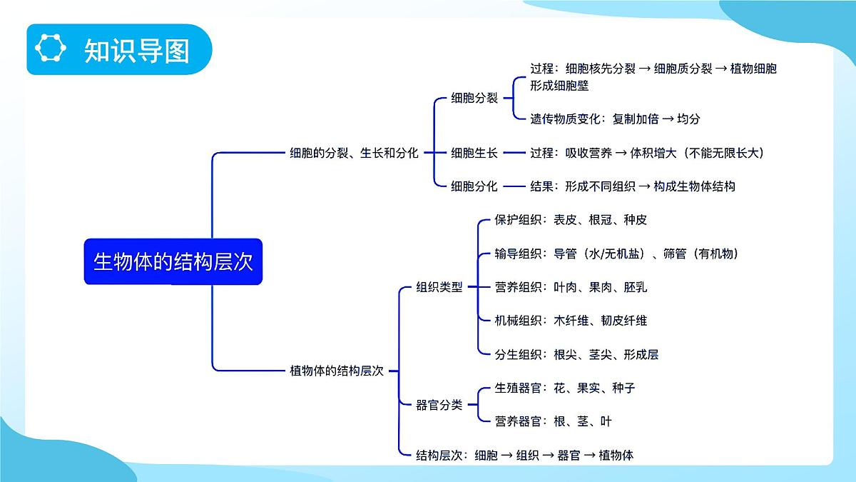 期中复习 第1课时 课件 科学浙教版（2024）七年级下册第3页