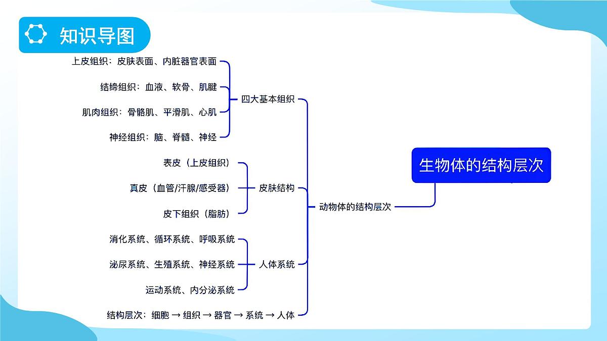 期中复习 第1课时 课件 科学浙教版（2024）七年级下册第4页