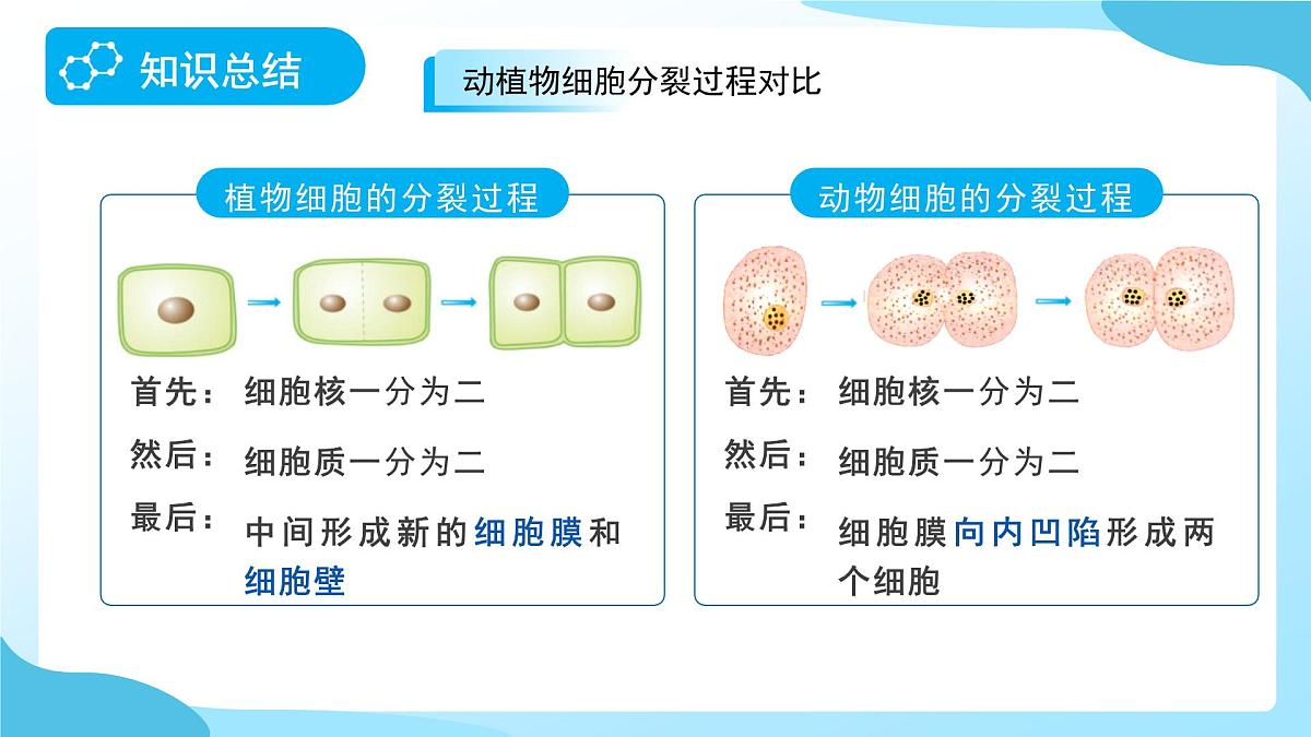 期中复习 第1课时 课件 科学浙教版（2024）七年级下册第5页