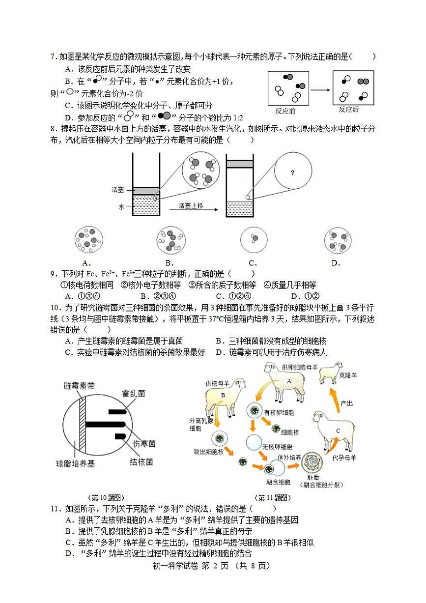 2024-2025学年第二学期宁波七中七年级期中考试科学试卷 2024-2025学年第二学期宁波七中七年级期中考试科学试卷第2页