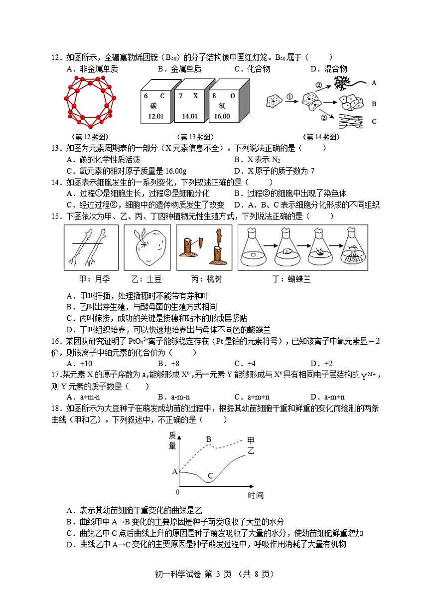 2024-2025学年第二学期宁波七中七年级期中考试科学试卷 2024-2025学年第二学期宁波七中七年级期中考试科学试卷第3页