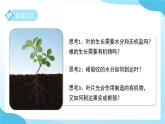 浙教版科學(xué)七年級下第3節(jié) 土壤與植物生長 第4課時（課件+教案）