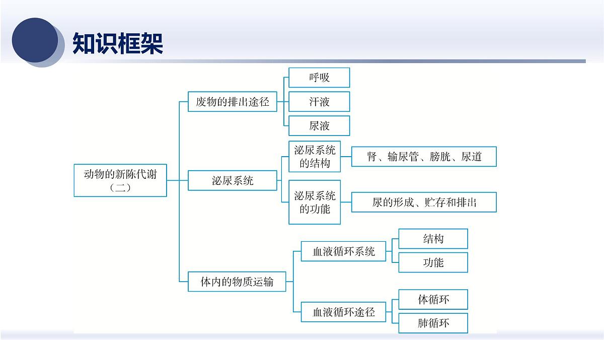 5.动物的新陈代谢及平衡（二）2025年中考科学浙江省统考专题模块复习课件第2页