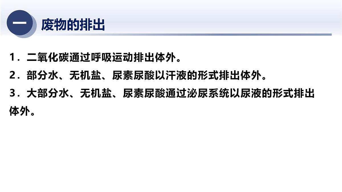 5.动物的新陈代谢及平衡（二）2025年中考科学浙江省统考专题模块复习课件第4页