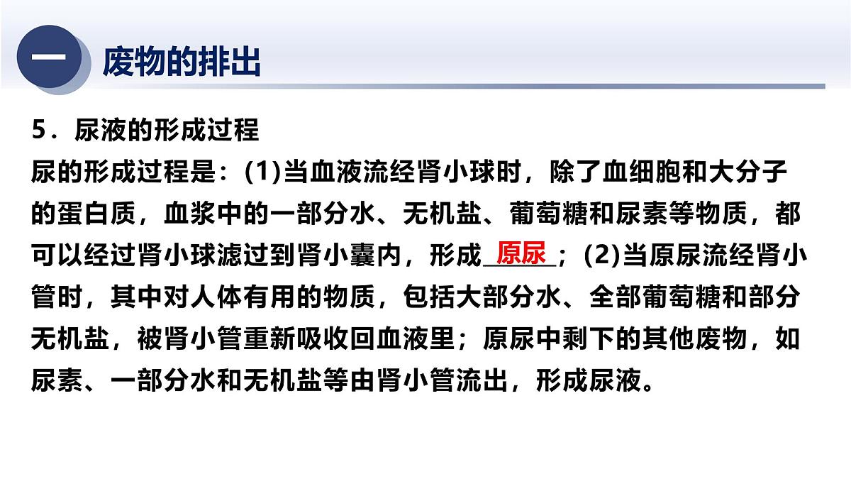 5.动物的新陈代谢及平衡（二）2025年中考科学浙江省统考专题模块复习课件第6页