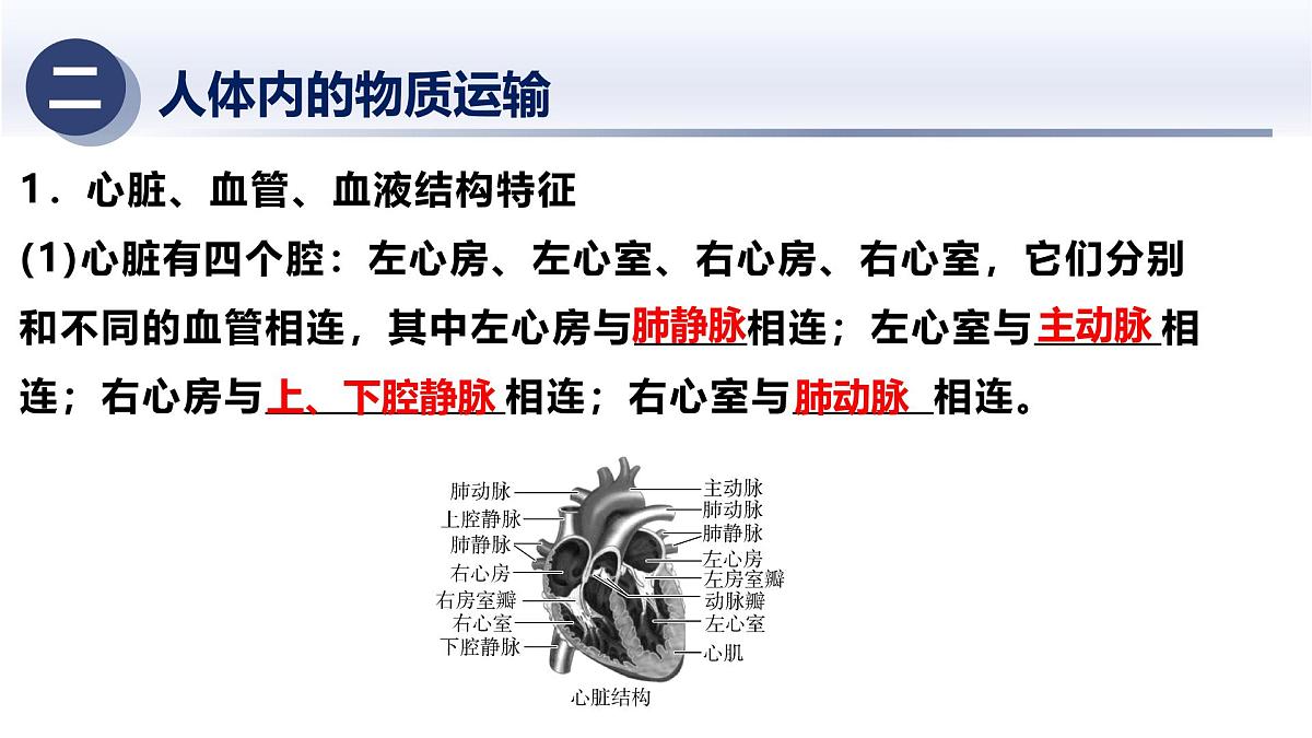 5.动物的新陈代谢及平衡（二）2025年中考科学浙江省统考专题模块复习课件第8页