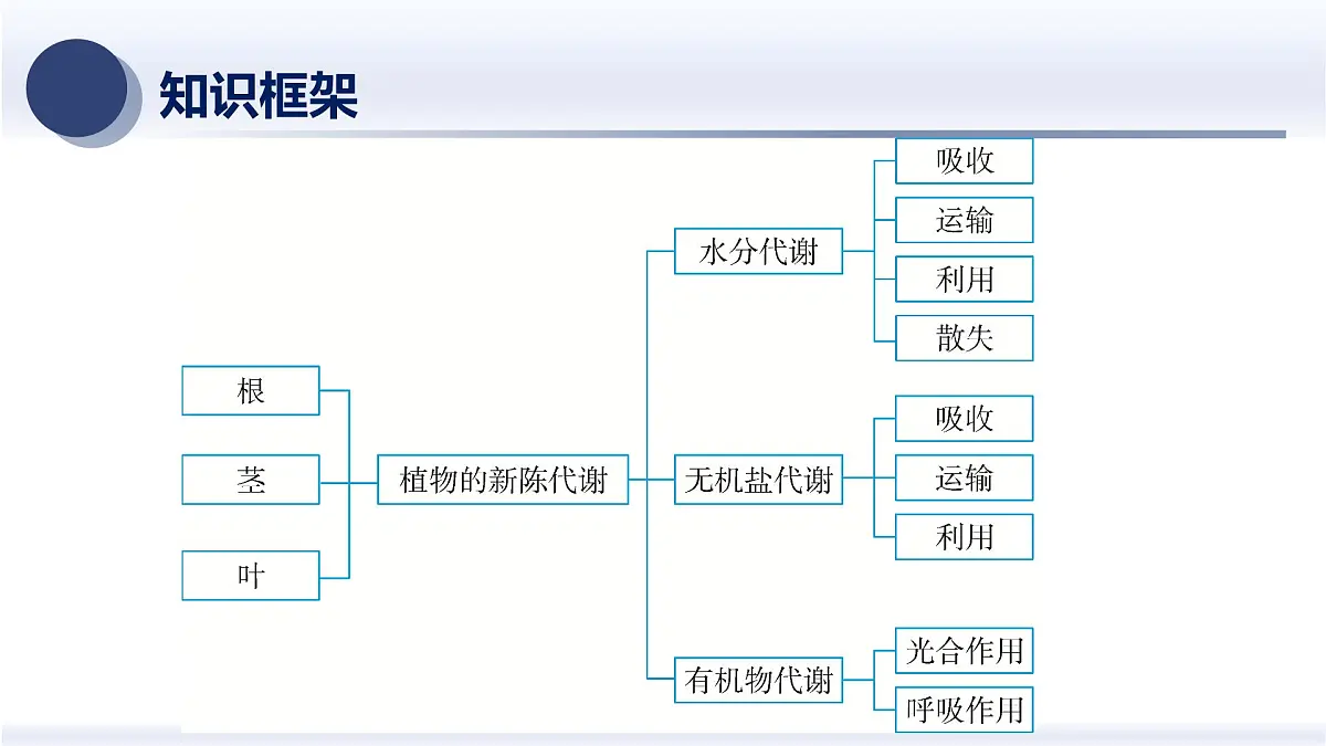 6.植物的新陈代谢及平衡-2025年中考科学浙江省统考专题模块复习课件第2页
