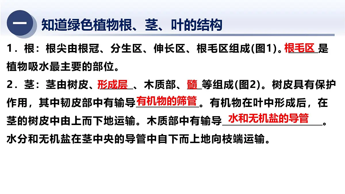 6.植物的新陈代谢及平衡-2025年中考科学浙江省统考专题模块复习课件第4页