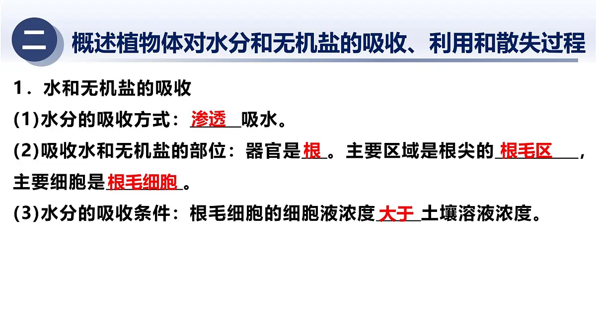 6.植物的新陈代谢及平衡-2025年中考科学浙江省统考专题模块复习课件第6页