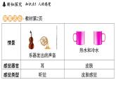 1.1 感覺世界（課件）2025-2026學(xué)年浙教版八年級(jí)科學(xué)上冊(cè)