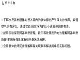 4.4 水的浮力（課件）2025-2026學(xué)年浙教版八年級(jí)科學(xué)上冊(cè)
