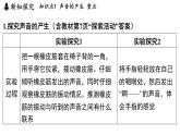 1.2 聲與聽覺（課件）2025-2026學(xué)年浙教版八年級科學(xué)上冊