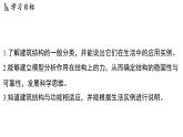 5.1 建筑結(jié)構(gòu)與功能（課件）2025-2026學(xué)年浙教版八年級(jí)科學(xué)上冊(cè)