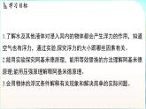 浙教版（2024）科學(xué)八年級(jí)上冊(cè) 4.4 水的浮力（課件）