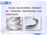 第1節(jié) 物質(zhì)的變化（教學(xué)課件）-2025-2026學(xué)年九年級(jí)科學(xué)上冊(cè)（浙教版）