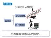 (新課標(biāo))初中科學(xué)浙教版七年級(jí)上冊(cè)2.1 生物體的基本單位 第2課時(shí)課件