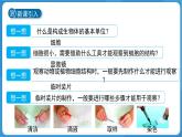 (新課標(biāo))初中科學(xué)浙教版七年級(jí)上冊(cè)2.1 生物體的基本單位 第3課時(shí)課件