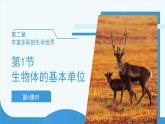 (新課標(biāo))初中科學(xué)浙教版七年級(jí)上冊(cè)2.1 生物體的基本單位 第4課時(shí)課件